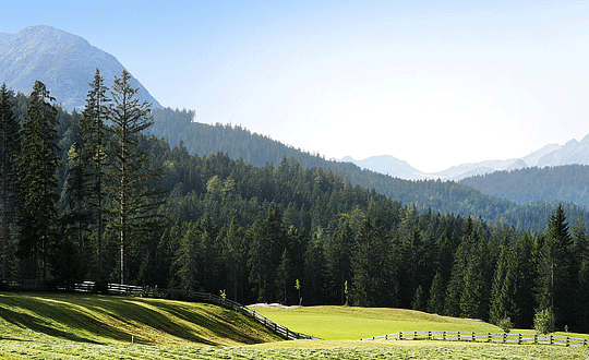 最能體現女孩氣息的名字，清新優雅別具一格