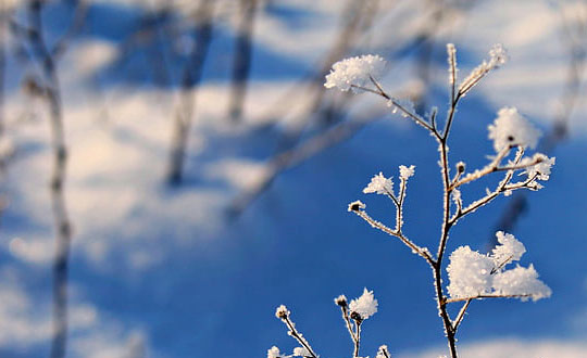 網頁游戲排行榜2020前十名