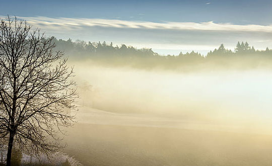 2020最新好聽(tīng)的游戲名字