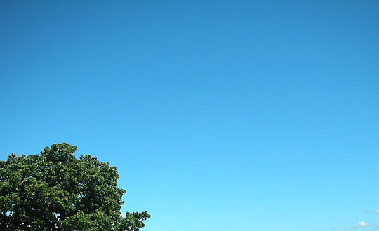 2020好聽的黃姓名字大全女孩名字