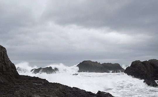 詩經楚辭論語取名女孩