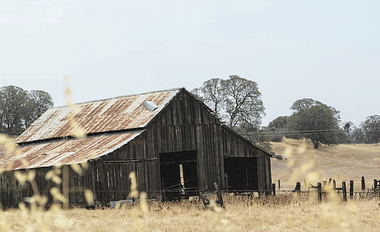 好聽文藝的家族名字