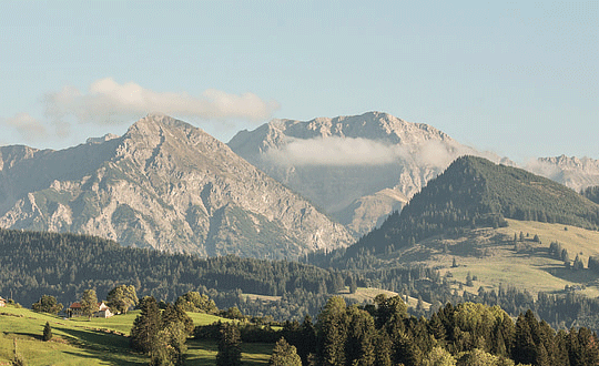 最新四個(gè)字的網(wǎng)名,四個(gè)字的網(wǎng)名大全