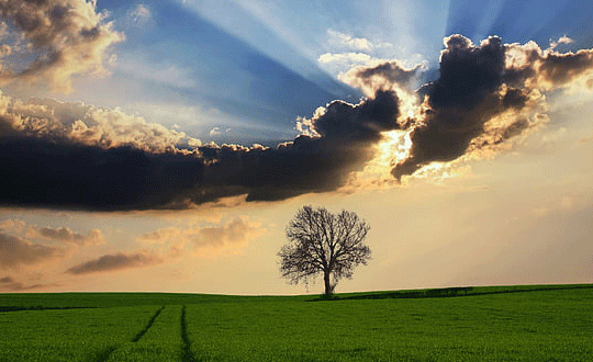 論語里適合男生的名字，王思聰的名字也出自其中