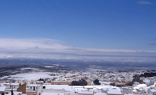 從古詩詞取名女孩名字