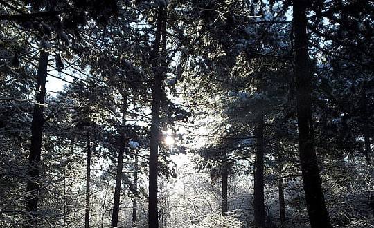 新生女孩取名吉祥有詩(shī)意名字大全:文雅經(jīng)典