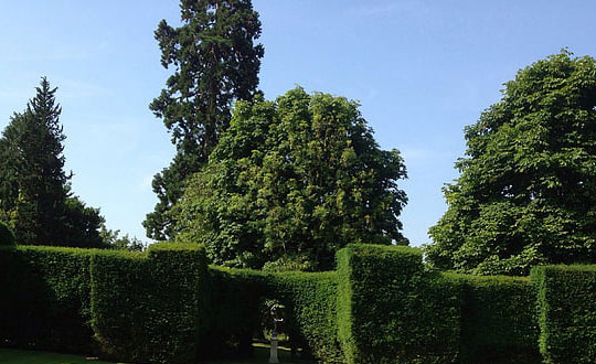 嬰兒起名大全女孩寶寶名字精選：儒雅字推薦