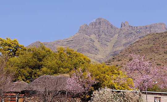 比較時(shí)尚洋氣的女孩寶寶名字:好聽字分享