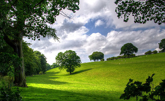 馬姓名女孩起名三個(gè)字 女孩姓馬取獨(dú)特的名字:起名思路
