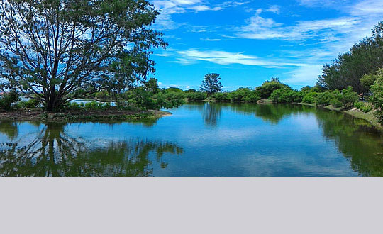 姓鄒的女孩名字有詩(shī)意 鄒姓女孩取名寓意好的：起名方法和技巧