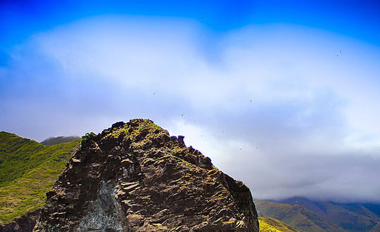 女寶寶有那些好聽的名字:儒雅經(jīng)典