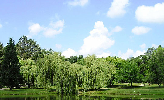 為寶寶起名取名字,有意義的男孩名字大全:洋氣文雅