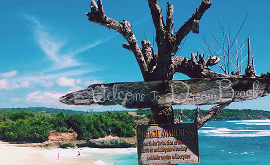 適合取名的古詩詞 論語名字大全女孩:起名思路和小技巧