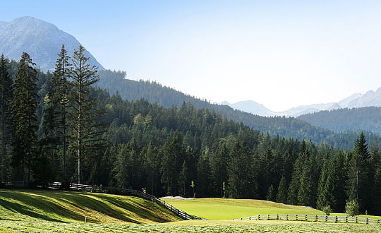 周姓女孩取名 周姓女孩名字大氣一點(diǎn):經(jīng)典唯美