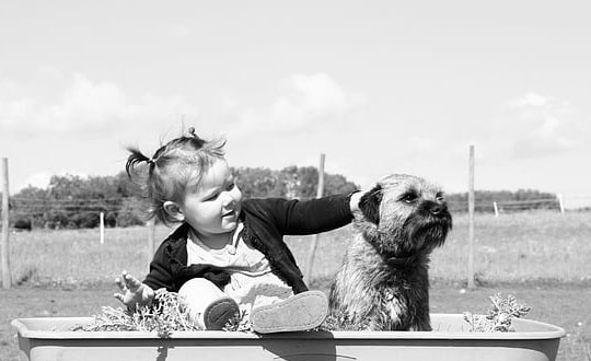  女孩優雅的名字,100分女孩名字大全：詩意內涵有寓意