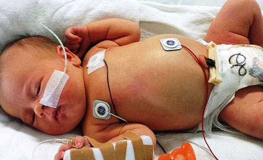 文化高雅有內涵的女孩名字大全：起名方法和技巧