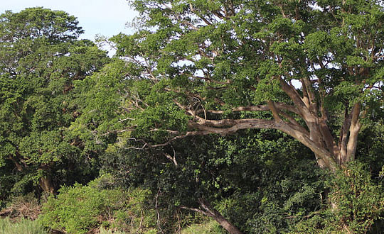 獨特內涵有氣質的女孩名字大全:洋氣有寓意