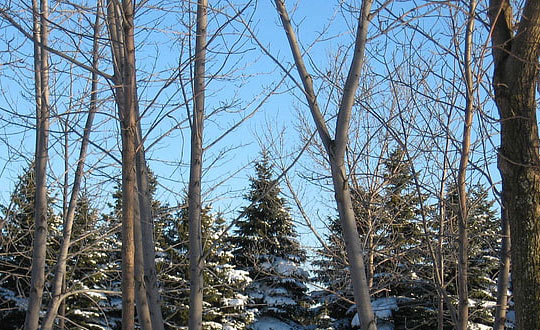 1200個(gè)好聽的男孩名字,獨(dú)特新穎的男孩名字參考