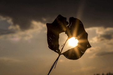 三、霸氣游戲公會名字獨特帶符號: