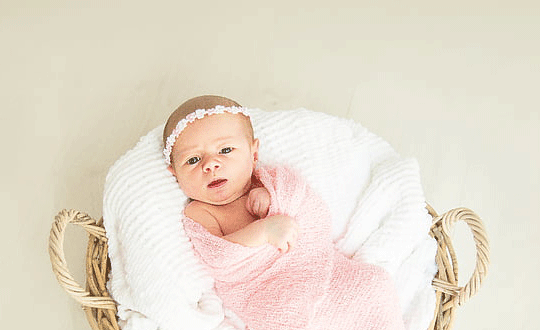 鼠寶寶跟糧食有關的小名