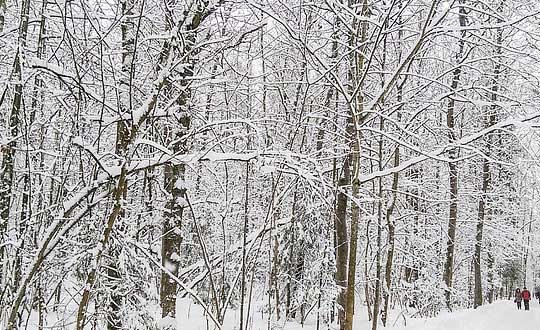 游戲名字情侶兩個字古風