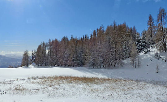 比較時尚洋氣的男孩名字精選:取名方法和技巧