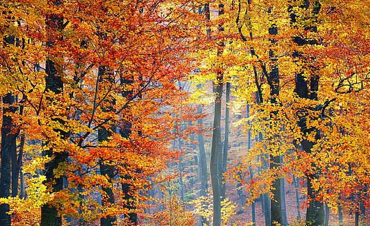 給男孩子取名內涵洋氣有個性：取名小訣竅