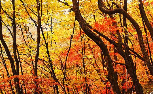 男孩取名寓意好的單字和取名常用字大全:起名小技巧