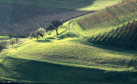 沉穩(wěn)大氣的男孩名字,1200個(gè)好聽的男孩名字