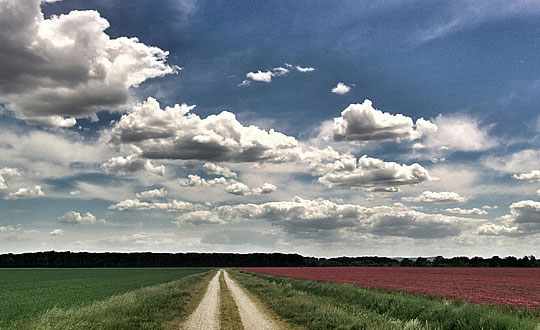 男孩子的名字,詩(shī)詞中寓意好的男孩名字