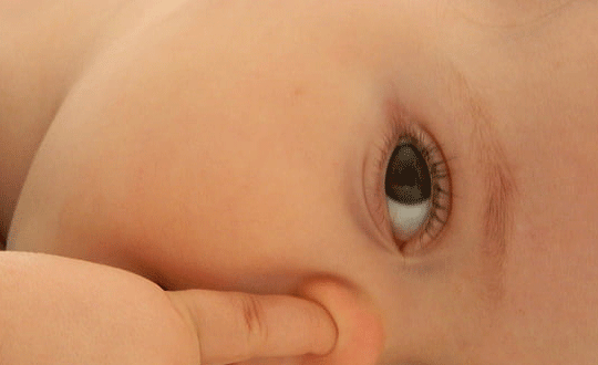 楚辭取名女孩,詩經楚辭取名女孩