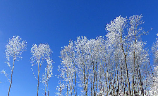 詩經2020寶寶名字