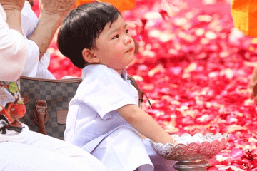 屬兔男寶寶取什么名字之網友問答