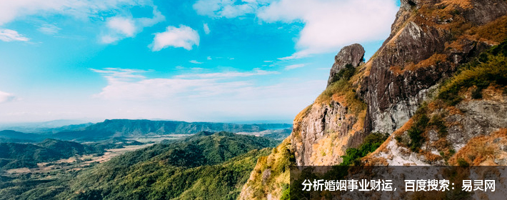 夜會美女？劉大錘又放出大瓜，包貝爾名字打分，解析