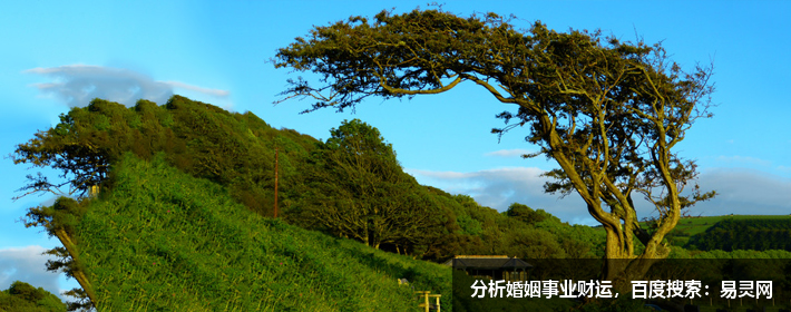 斬獲微博年度男歌手，周深名字打分，解析