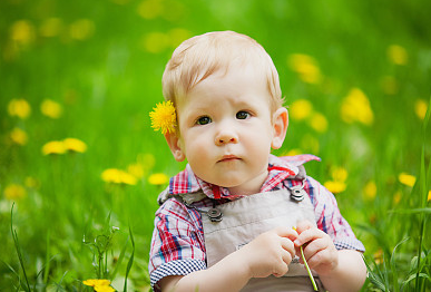 李姓帶木或火字的女孩名，寓意美好，筆畫吉祥