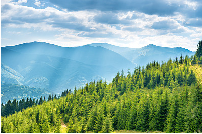 一眼驚鴻，小眾網名昵稱