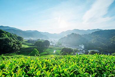 超拽霸氣冷酷女生網名大全