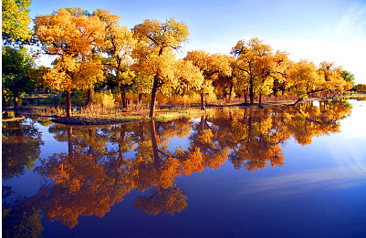 20款的古風昵稱，瞬間讓你的微信穿越回古代！
