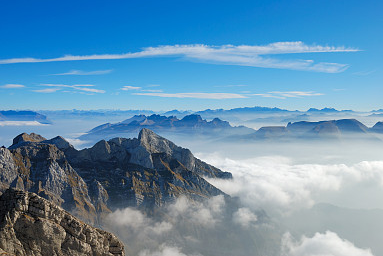 適合健康行業的公司名字