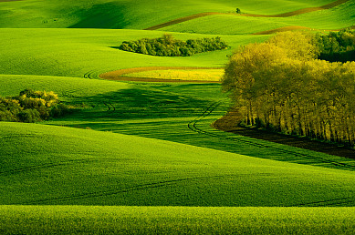 溫柔仙氣十足的網名
