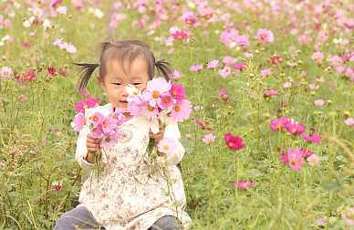 2024龍年命帶富貴的龍寶寶名字，個個好運連連！