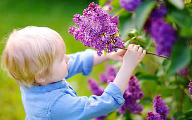 起名必看！出自《山海經》中仙氣繚繞的男孩好名字