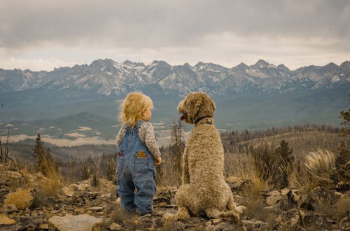 男孩起名,楊姓男孩取名豪爽大氣