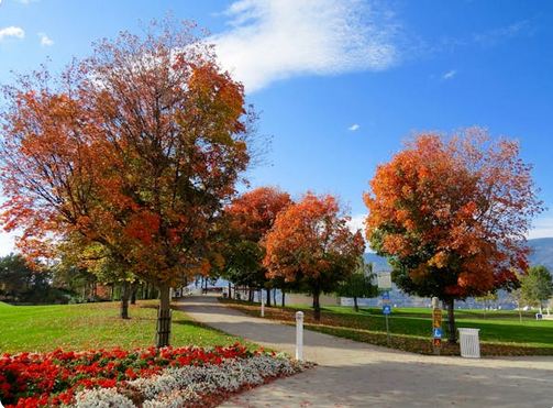 獨特又有氛圍感的情侶網名