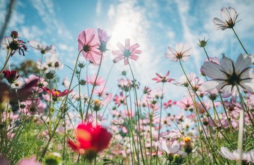 2025公司取名必看！25個大氣聚財?shù)狞S金名字模板