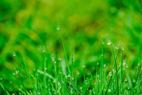 聽了就忘不掉！有記憶點(diǎn)的店名推薦