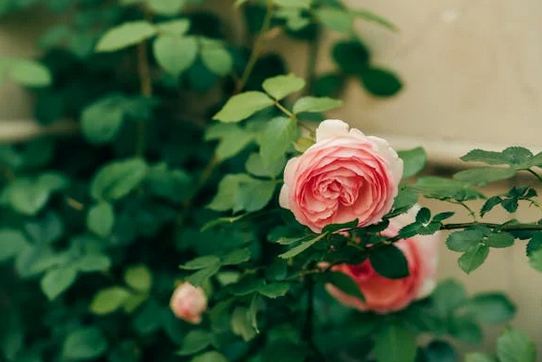 店鋪取名,2025新潮流的店名推薦