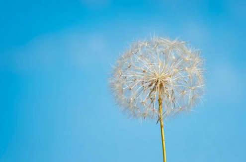 網名昵稱起名：經典不過時的微信網名