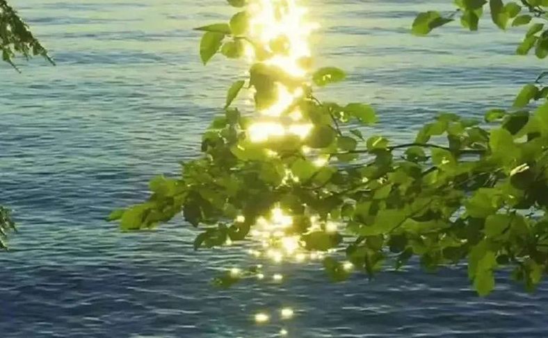 古里古氣的網(wǎng)名，網(wǎng)名大全